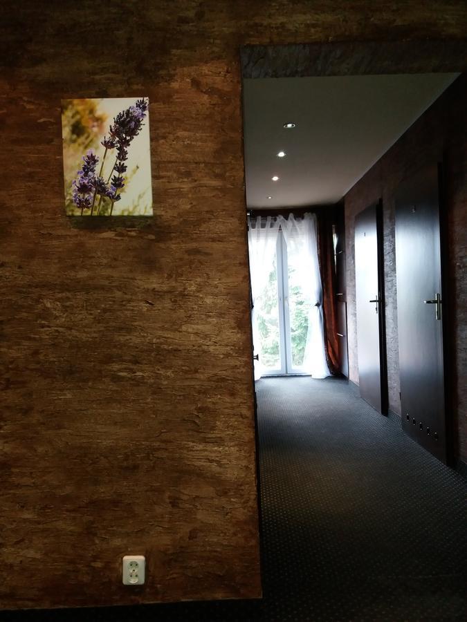 Lawendowy Hostel Cracovia Esterno foto